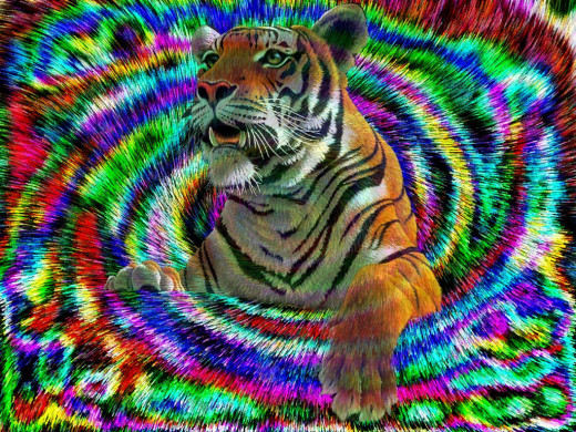 282 (a): :1024x768